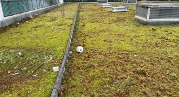 rce-cdc-habitat-releves-etancheite-anti-racines-villeneuve-le-garenne-92-1