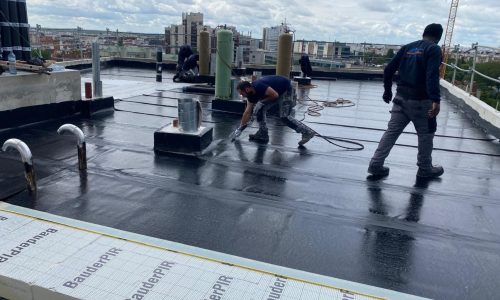 rce-etancheite-vegetalisation-bagnolet-93-sedelka-05