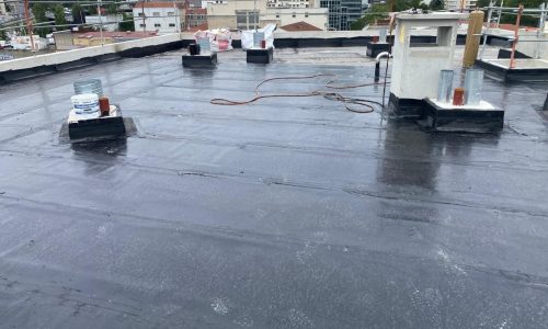 rce-etancheite-vegetalisation-bagnolet-93-sedelka-07