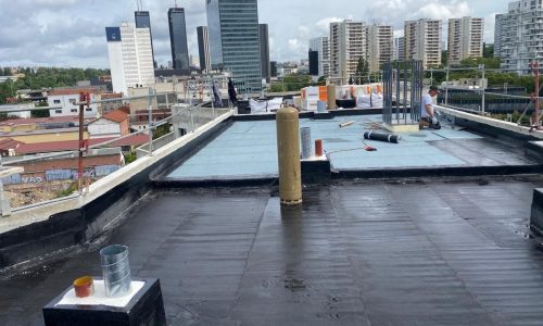rce-etancheite-vegetalisation-bagnolet-93-sedelka-08