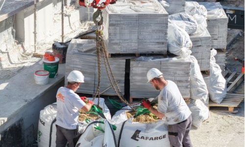 rce-vegetalisation-lnc-pornichet-44 - 002-2