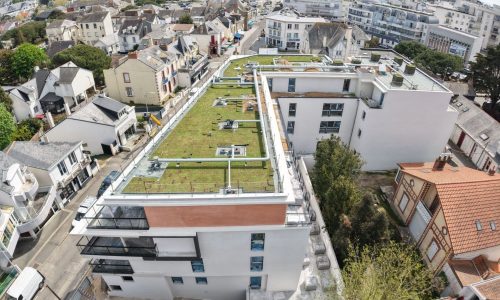 rce-vegetalisation-lnc-pornichet-44 - 002-6